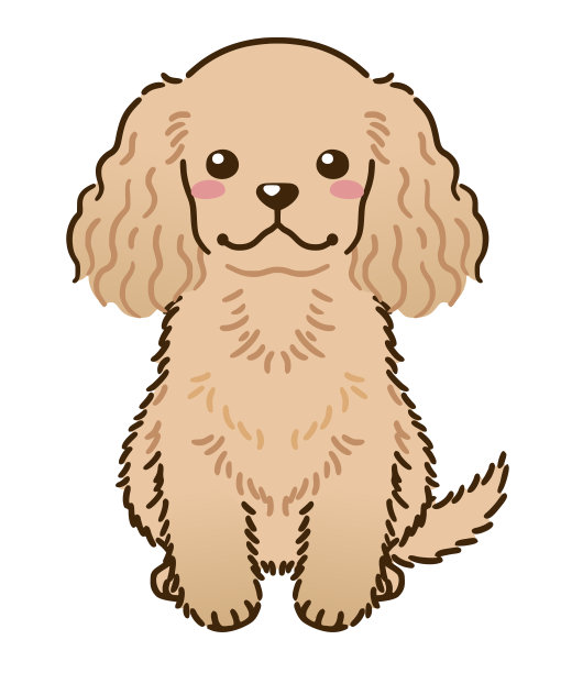 美国可卡犬(红色)图片下载