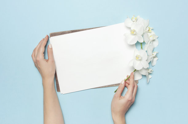 女人的手握蝴蝶兰兰花的枝干白色的纸在柔和的蓝色背景上俯视图平躺为你的设计模型规划概念。女性桌面热带花图片下载