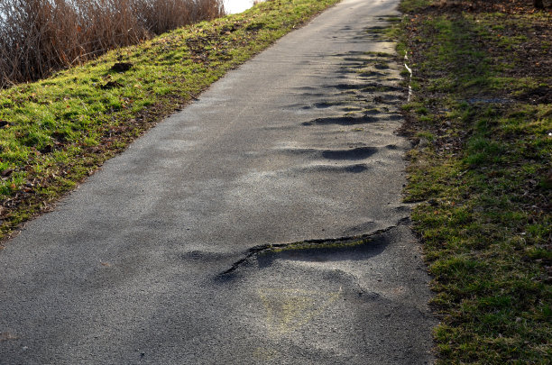 沥青路面建得太靠近老杨树，它们的根逐渐破坏了路面。在坚固的根上，裂缝形成并从大的凸起中突出图片下载
