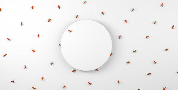 逼真的红蚂蚁行走在白色的地板和空旷的圆形空间。图片下载