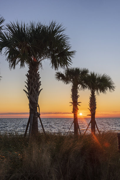 颜色的日落图片下载