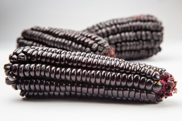 秘鲁的食物图片下载