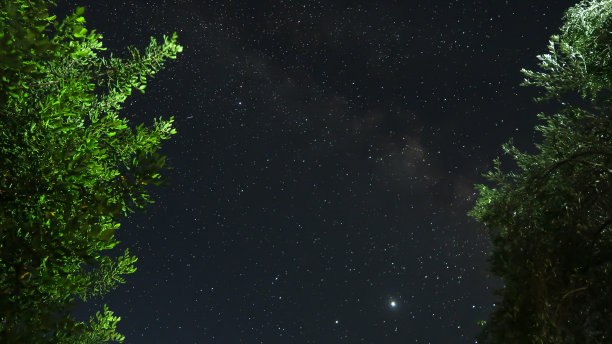 星星和灯光照亮了树木-银河-布满星星的天空图片下载
