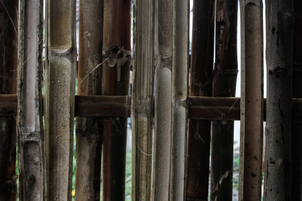 竹栅栏的特写图片下载