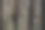 竹栅栏的特写图片下载