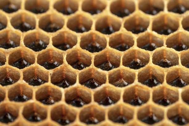 有蜂蜜的大蜂巢。蜂蜜的细胞。自然模式的背景图片下载