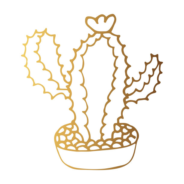 可爱的手绘仙人掌图片下载