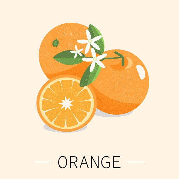 有叶有花的橘子。猩猩的水果图片下载