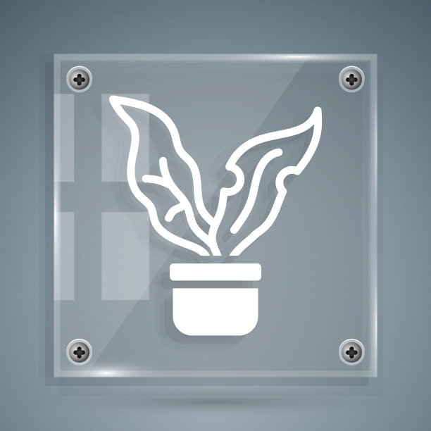 白色植物在花盆图标孤立在灰色背景上。盆栽植物。盆栽植物标志。方形玻璃面板。向量图片下载