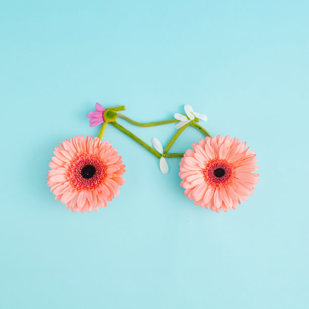 创意概念与浅蓝色背景下的粉红色鲜花。最小的自然或爱的概念。图片下载