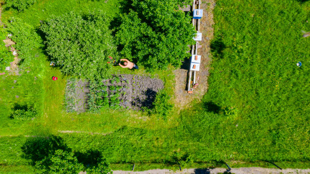 农民用汽油割草机在花园里修剪草坪的鸟瞰图图片下载