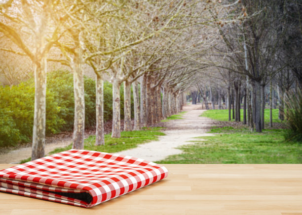 餐桌折叠野餐毯子和自然背景图片下载