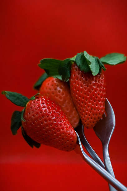 叉子上的草莓特写图片下载
