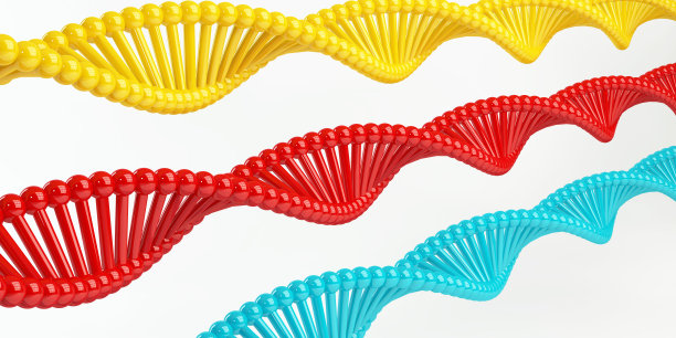 研究和开发图片下载