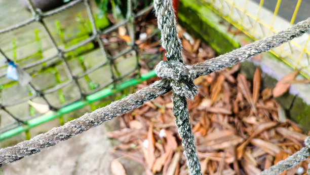 公园里的绳结供攀爬和玩耍。图片下载