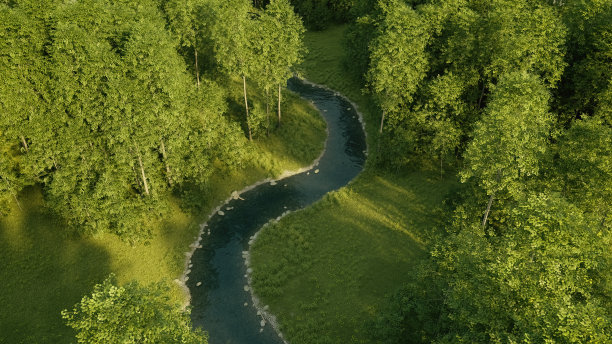 清晨阳光下的落叶林和河流。3 d渲染。图片下载