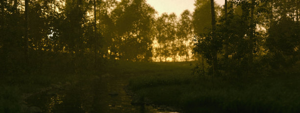 有白桦树的雾蒙蒙的森林和日出时的河流。3 d渲染。图片下载