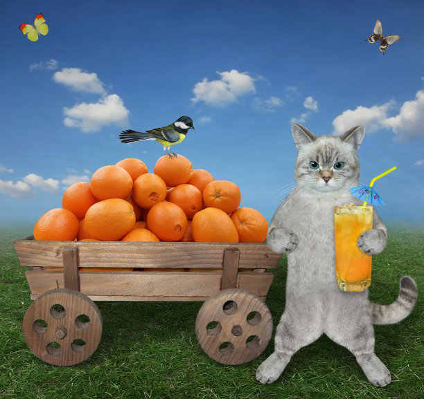 野地里有一辆车，车旁边的猫变成了灰色图片下载