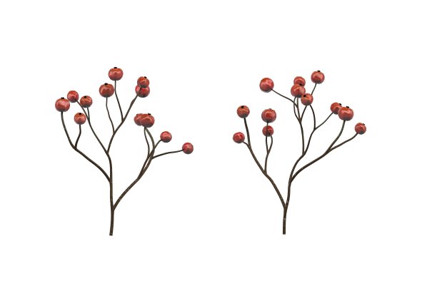 红莓枝图片下载