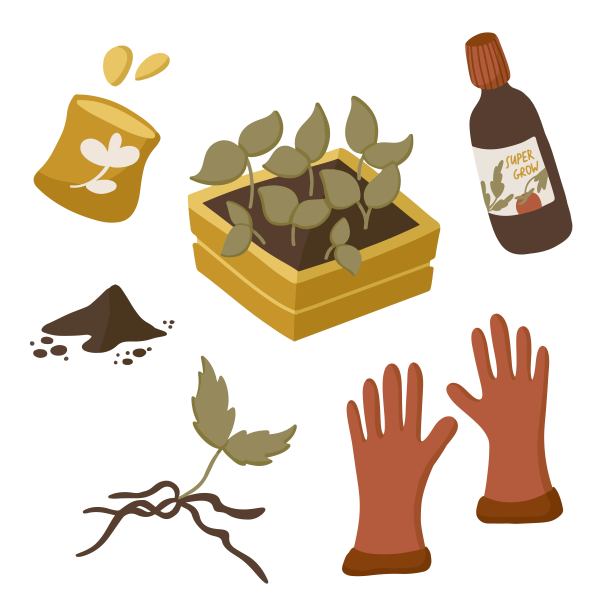 幼苗和园艺工具的向量集。孤立在白色背景上的卡通物体。图片下载