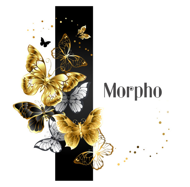 黑色条纹和金色蝴蝶图片下载