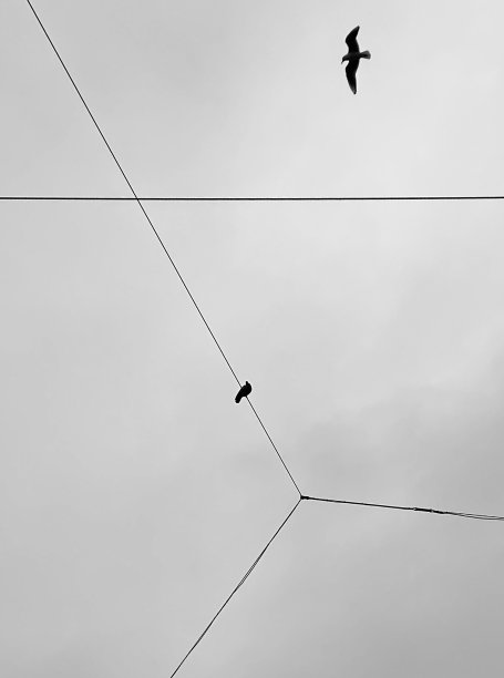 空中边界冲突图片下载