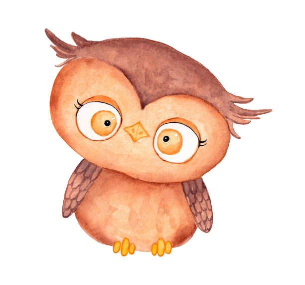 手绘可爱的猫头鹰。水彩插图孤立在白色背景上。图片下载
