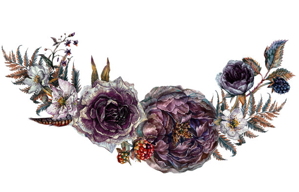 水彩花哥特式安排孤立在白色背景上。图片下载
