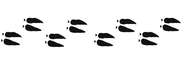 鹿脚印方式为黑色图片下载