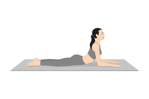 狮身人面像，Salamba Bhujangasana, Niravalasana图片下载