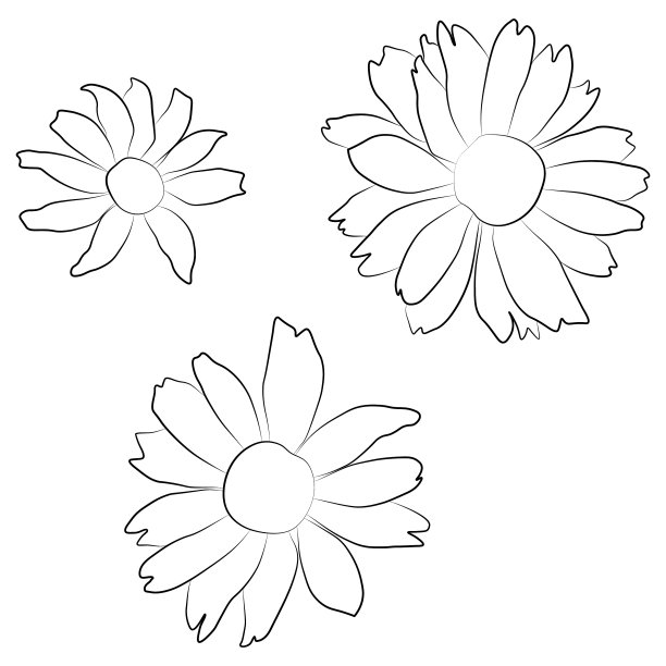 集开放太阳花矢量轮廓插图孤立在白色背景上。矢量草图风格顶视图手绘野生，太阳风，假向日葵。图片下载