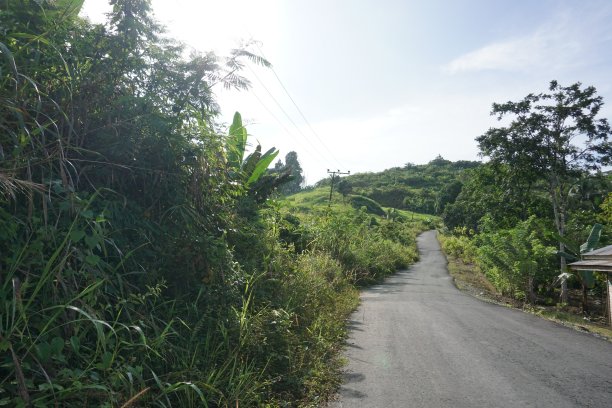 看来路村图片下载