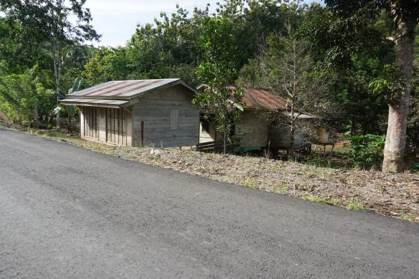 看来路村图片下载