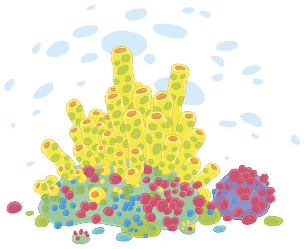 水下暗礁上五颜六色的奇异珊瑚图片下载