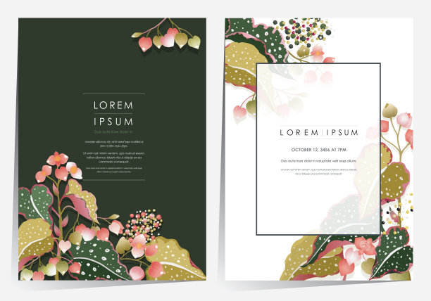 向量插图花框架设置在春天。图片下载