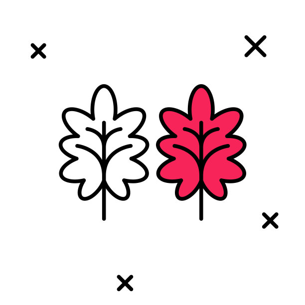 填充轮廓叶图标孤立在白色背景。叶子的迹象。清新自然的产品标志。向量图片下载