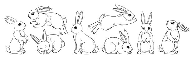 各种可爱的兔子，春天，复活节兔子在素描风格。兔子坐，睡觉和跳跃矢量插图孤立在白色。涂鸦风格，手绘，图形图片下载