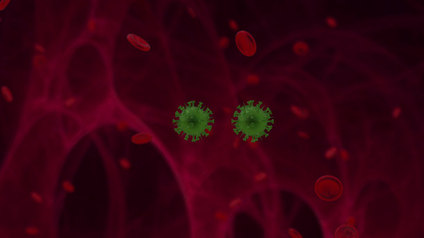 新型冠状病毒感染omicron株。大流行covid 19。动画描述了病毒在人体内的分裂，疾病在被感染者肺部传播的过程图片下载
