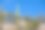 亚利桑那州图森市的一株细长的仙人掌图片下载