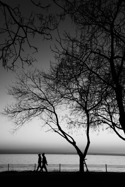 人们在海滩上散步图片下载