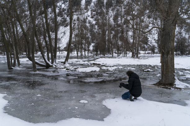 摄影师拍摄森林和雪景的照片图片下载