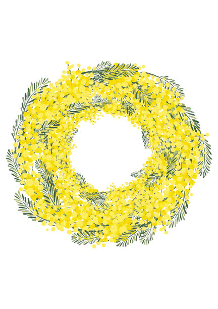 含羞草金合欢花环背景材料花卉手写插图春天形象复古北欧设计图片下载