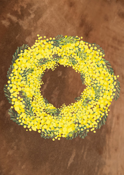 含羞草金合欢花环背景材料花卉手写插图春天形象复古北欧设计图片下载