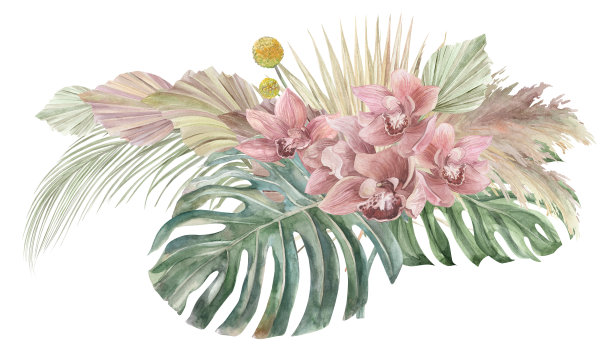 水平水彩花束与兰花和怪物的叶子和热带干花图片下载