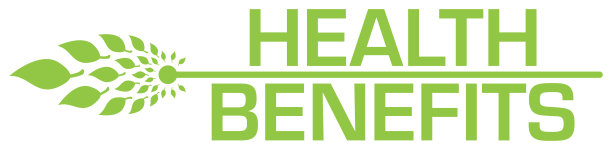健康益处绿叶水平条图片下载