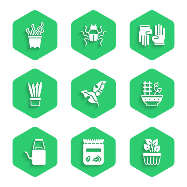 集热带的叶子充满了植物的种子图片下载