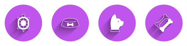 设置龟宠物食碗，供猫或狗、猫和宠物食用图片下载