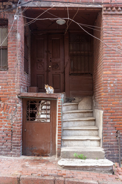 砖房的旧门，破旧的混凝土楼梯和地下室的入口。大量的电线。垂直的照片。图片下载