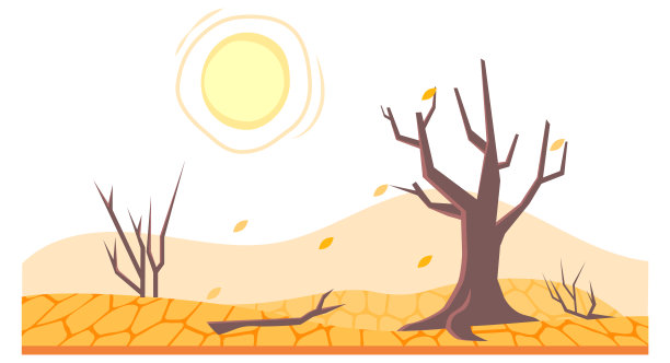 干旱的土地或干燥的沙漠土壤与死树图片下载