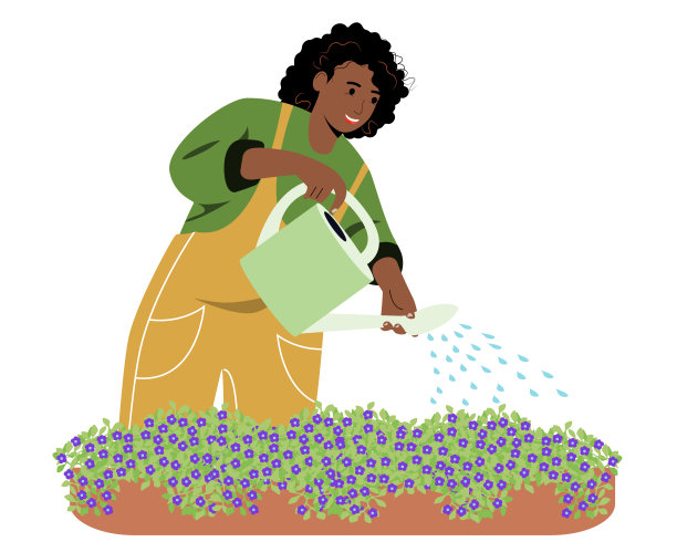 一位年轻的非洲裔美国妇女正在用喷壶给一株植物浇水。这个女孩在花园里或在农场干活。农民,园丁。图片下载